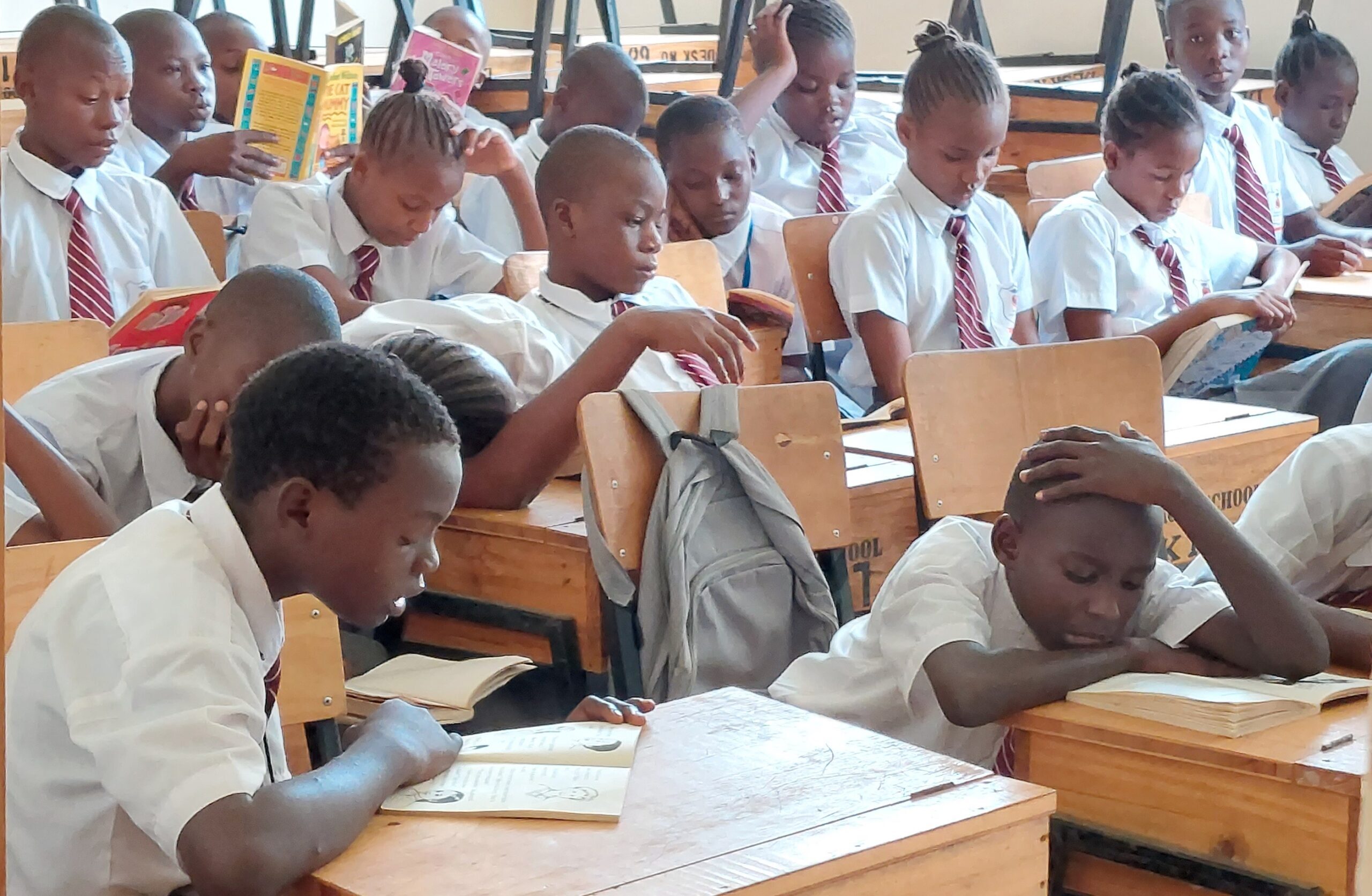 School recipients of our books